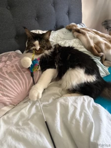 On tak vedle m haj a tul seeee