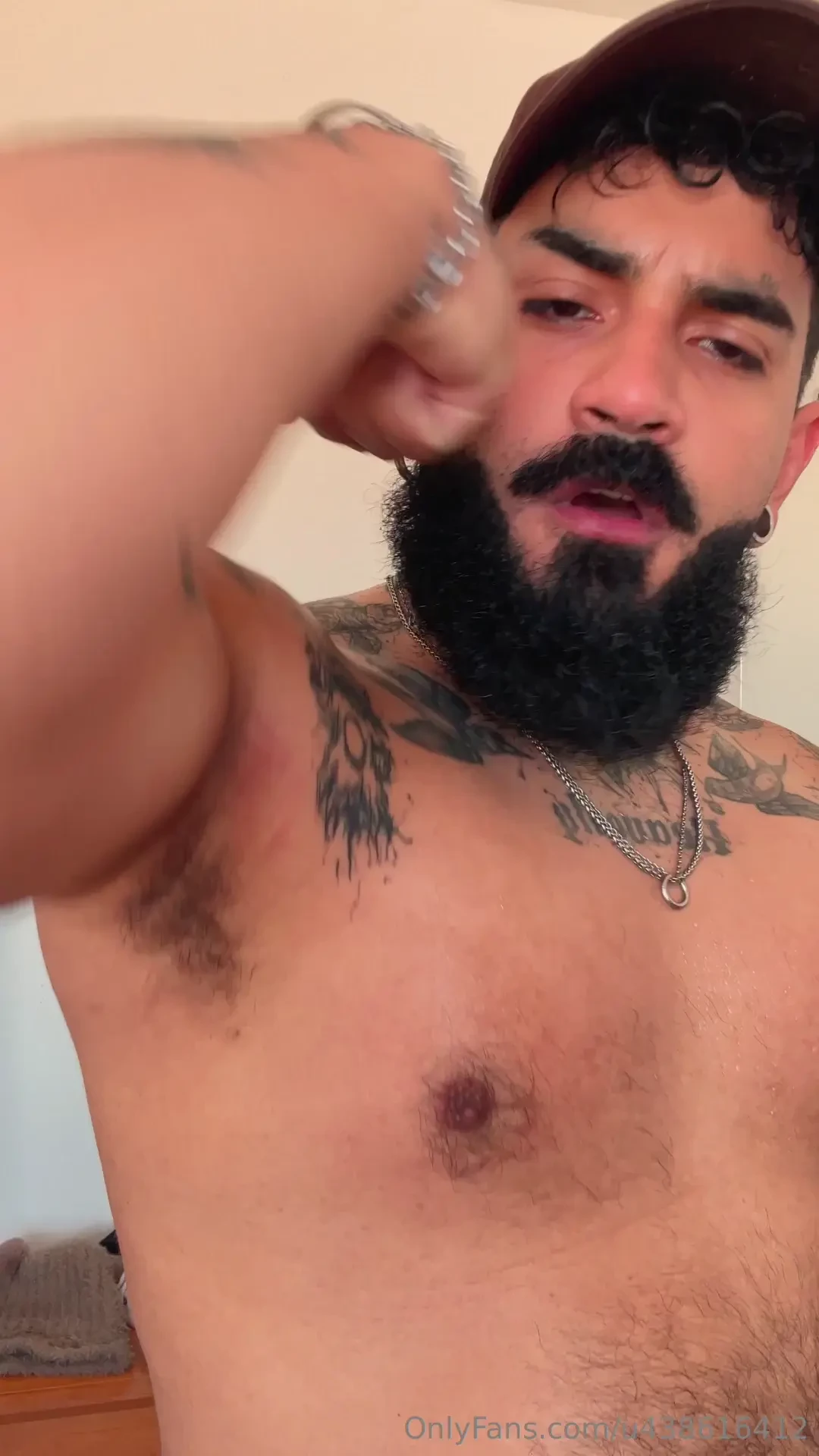 Esperando algu m vir limpar o urs o suado waiting for someone to come 