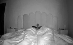 Nothing better than waking up in the middle of the night and cuming