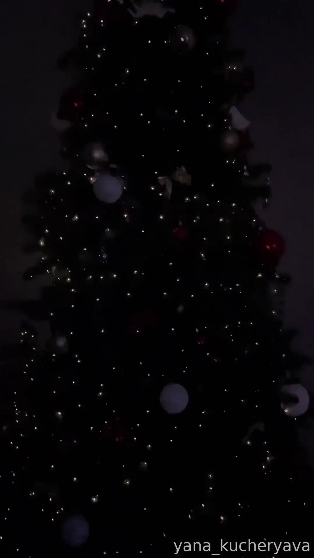 Thank you all for this opportunity to buy a christmas tree and please 