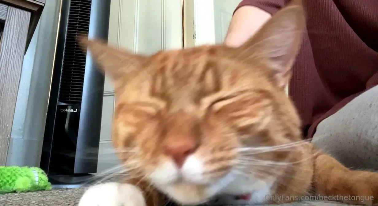 Wanna see my kitty scroll for the video 