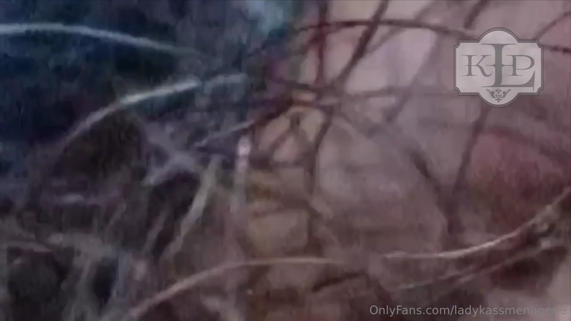 A nice video containing the little micro peasant s journey while i was 