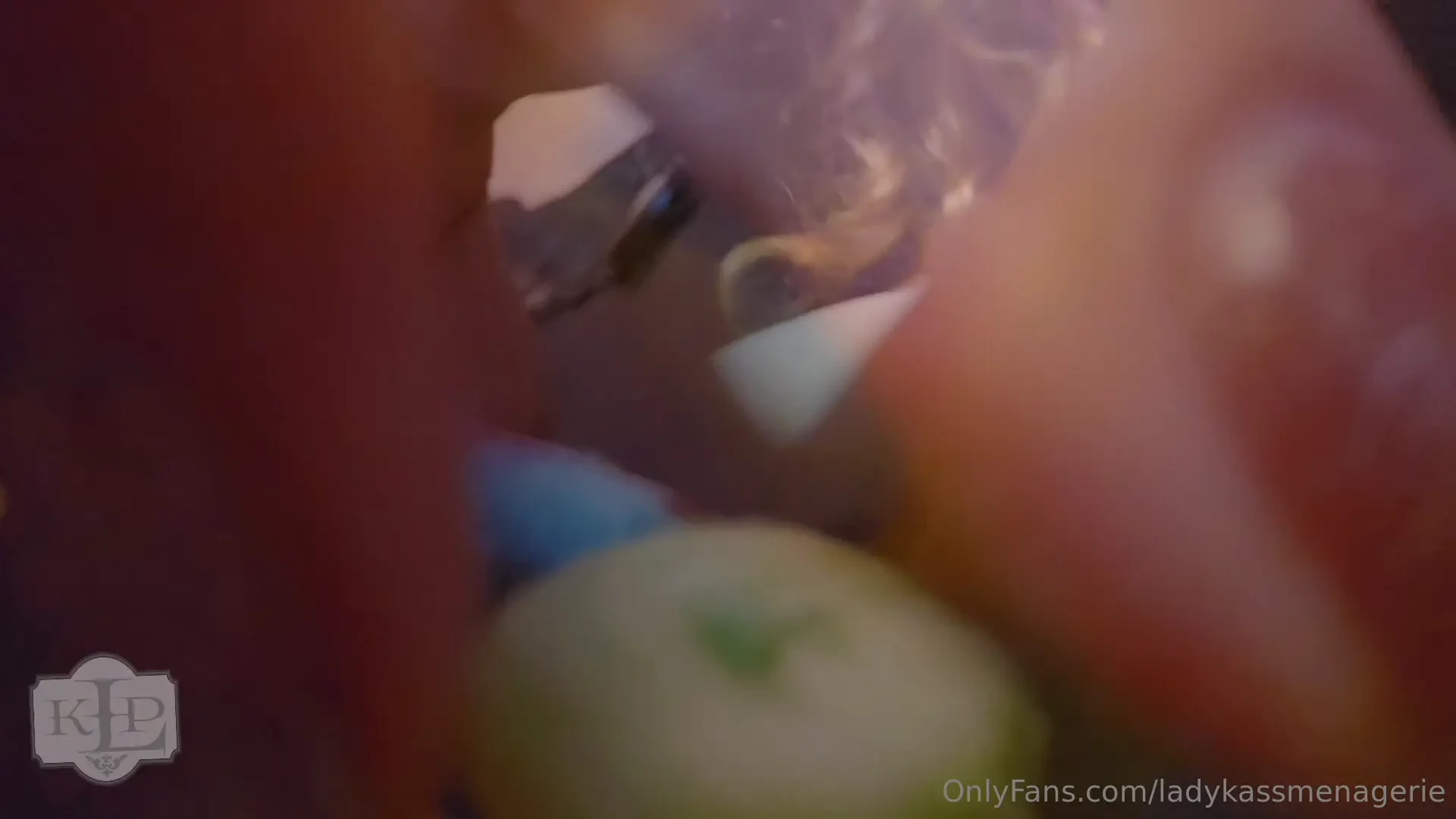 I was hungry wanted a snack it s not my fault you were in my bag of 