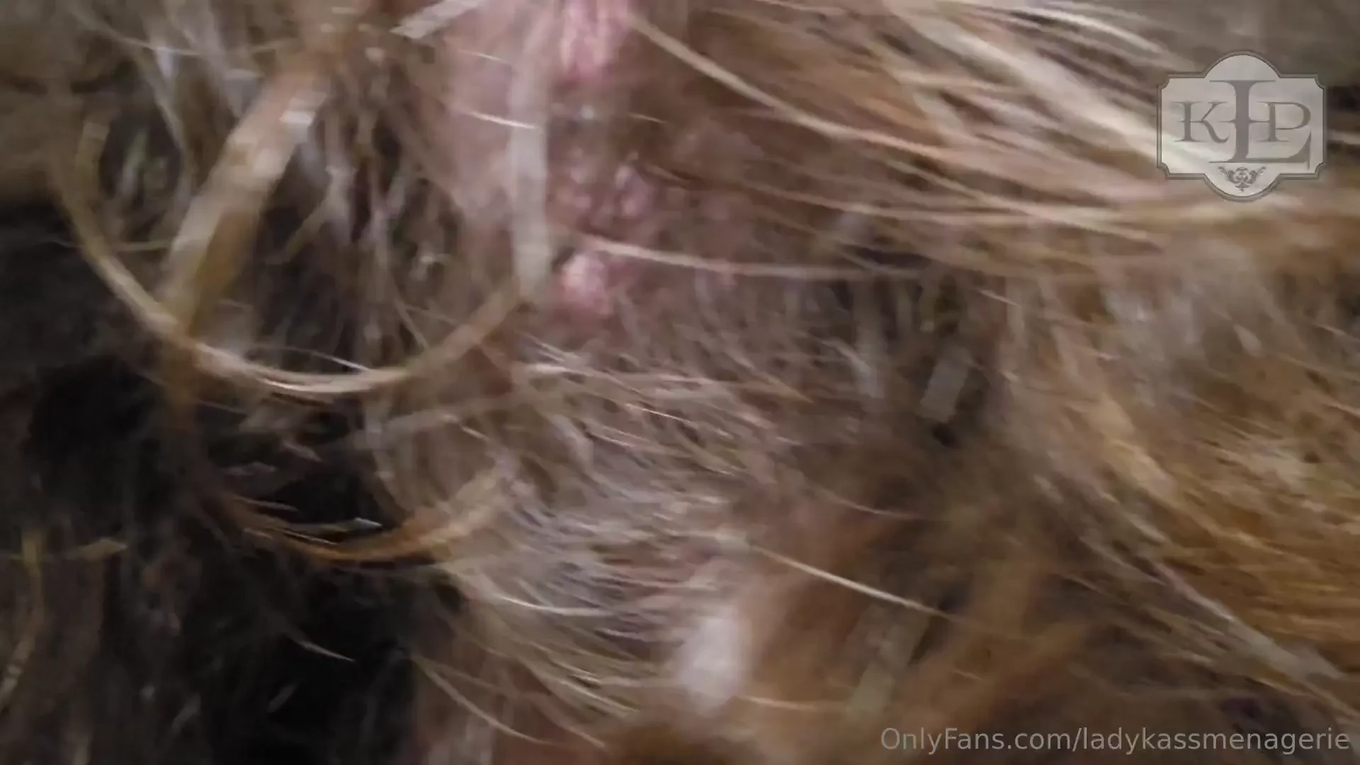 9 5 mins you come over tiny little pervert you are watch me shake and 