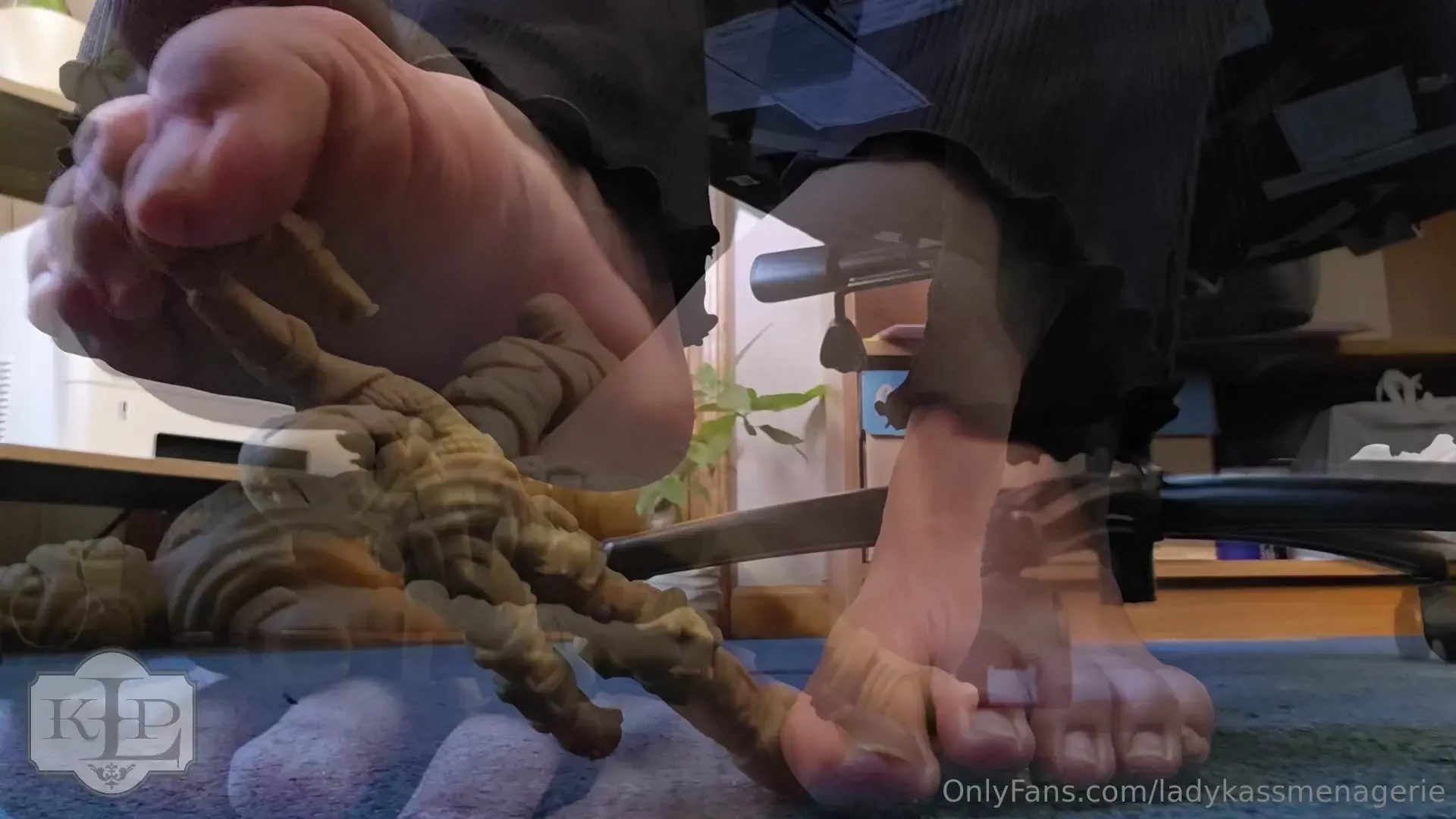 I always enjoy finding tinies in the wild especially since it means we 