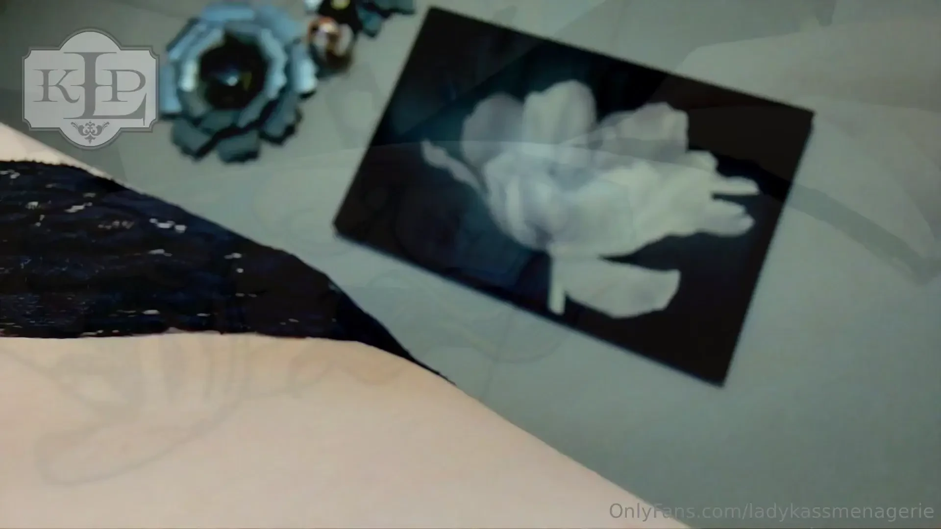 8 5 mins a sneaky tiny peasant decided to explore while i was resting 