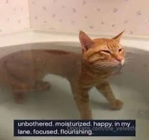 Me as hell rn