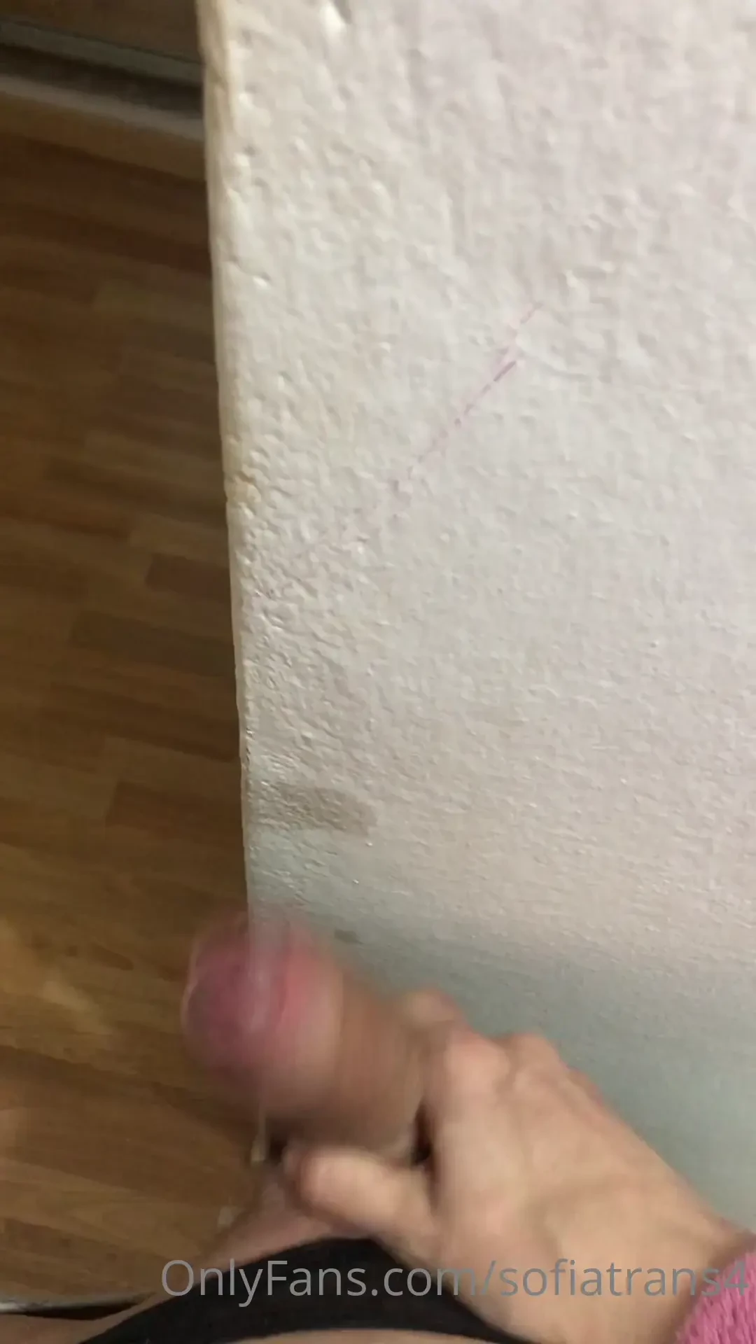 Oggi ve lo sbatto nel muro come se fosse la vostra faccia troie 