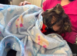 Here s a collection of me during my favorite activity puppy time brain