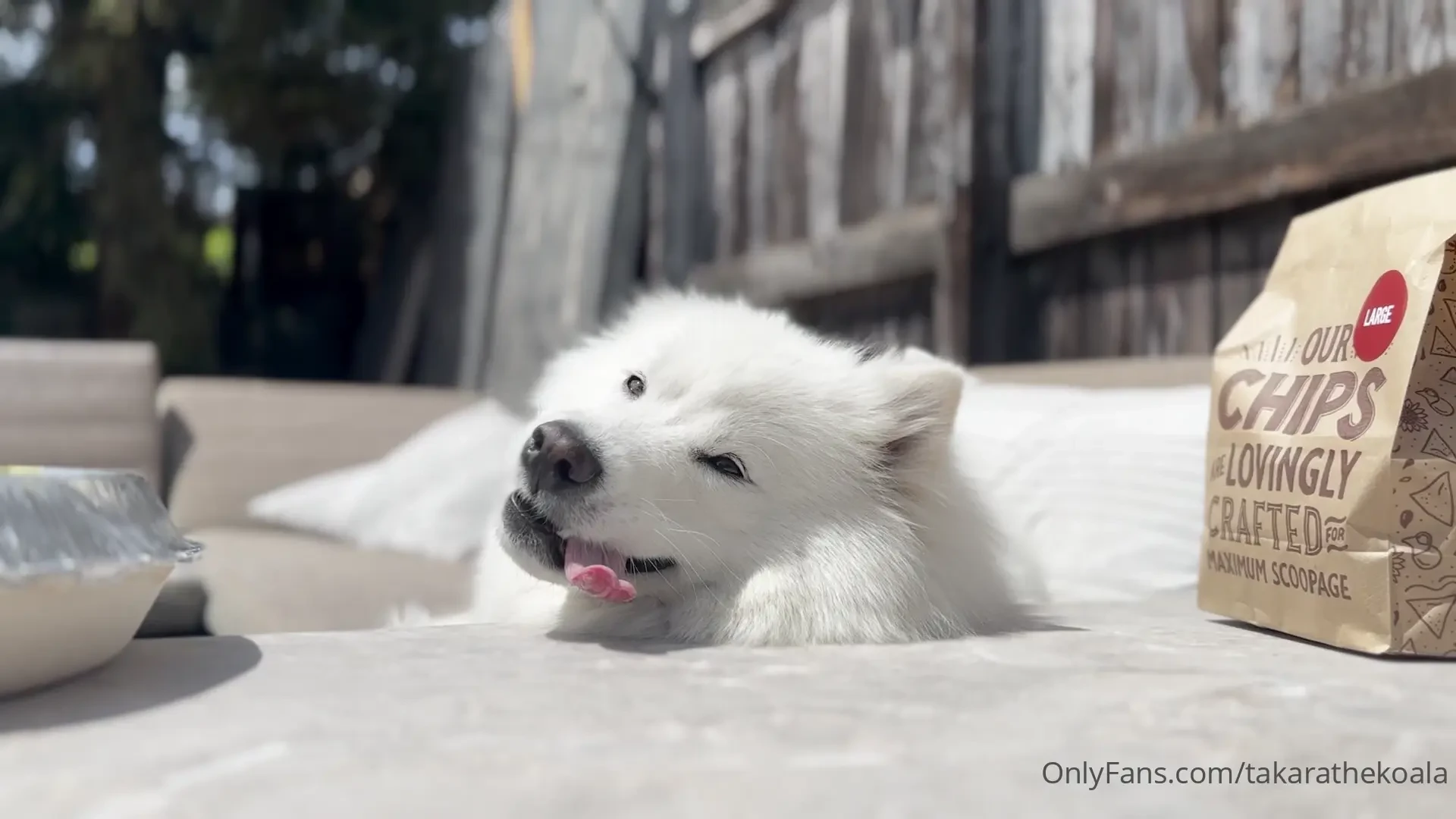 Who else celebrated 4 20 swipe to the end to see a hot bitch part 1 