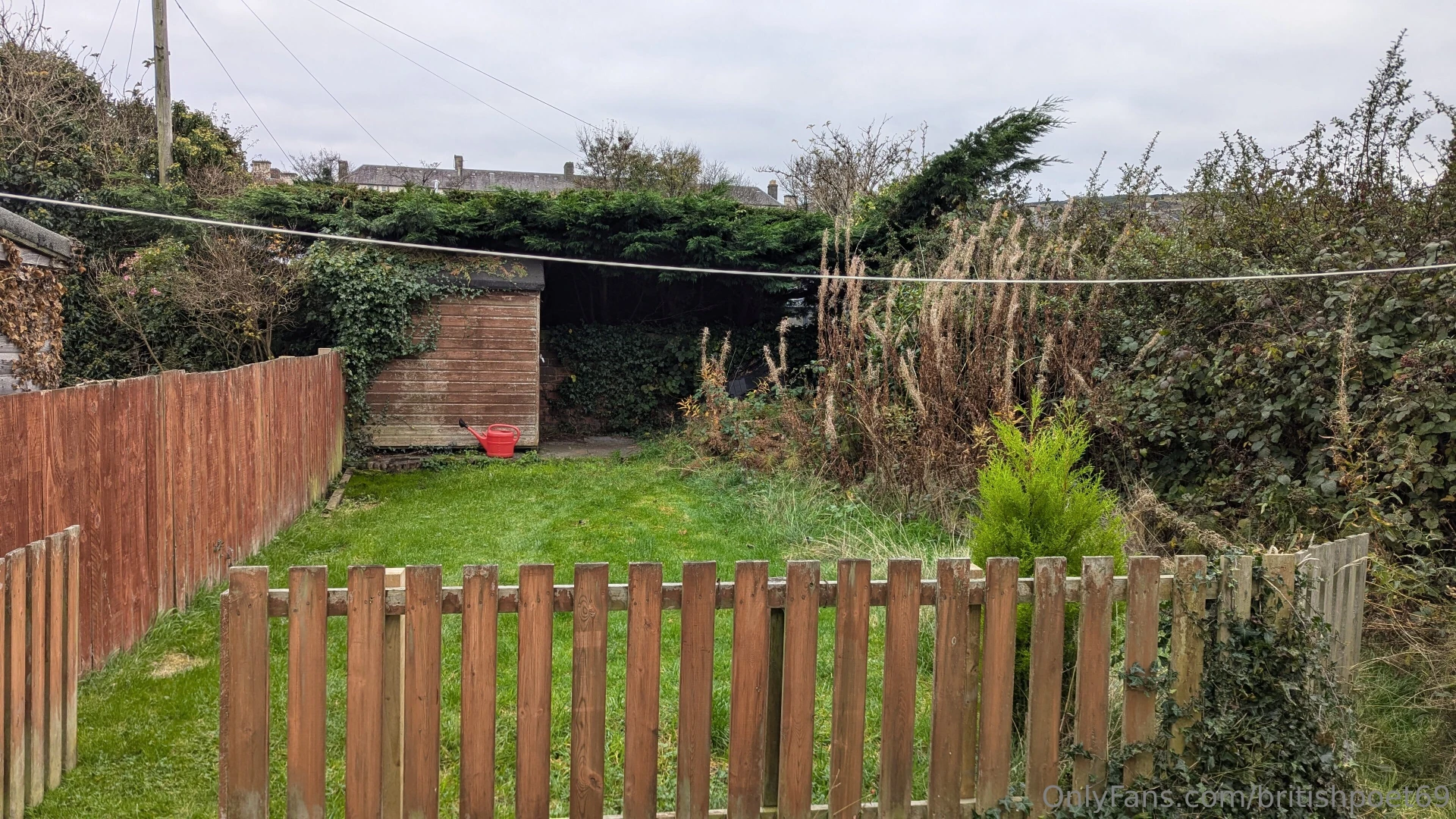 For anyone keen on gardening i m planning on starting to upload videos 