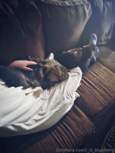 My fluff hoodie brings all the cats to my lap and they re like it s