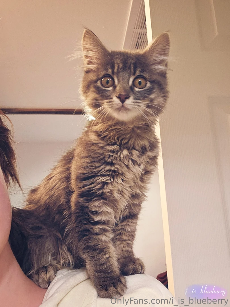 And i present to you this fucking thing stealer of sleep biter of 