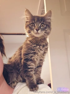 And i present to you this fucking thing stealer of sleep biter of