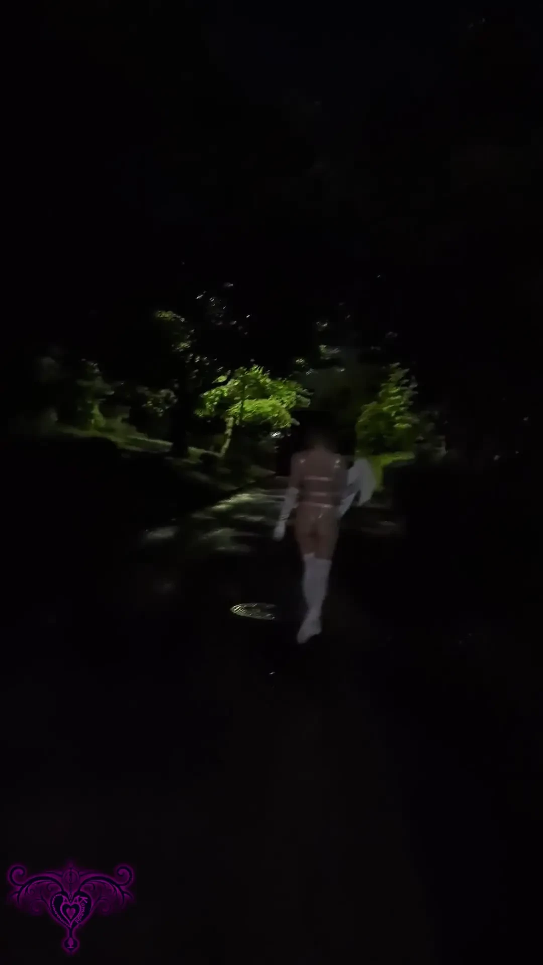 Naked dogs stroll through the park at night wagging their tails 