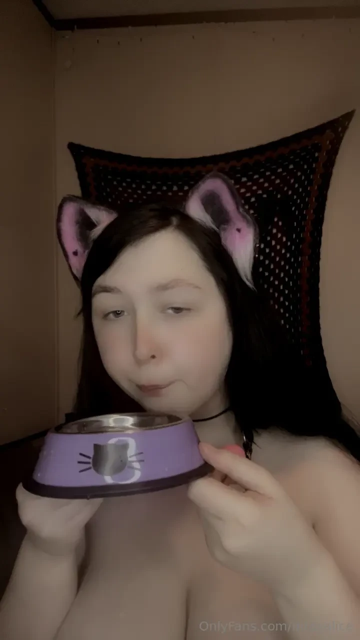 Big petplay bundle part 3 