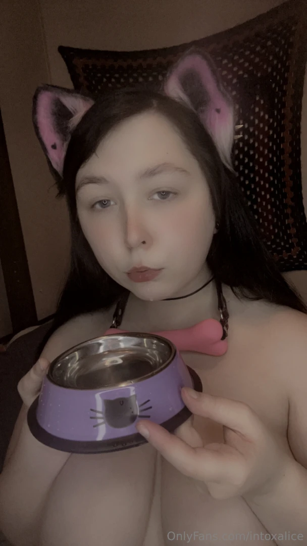 Big petplay bundle part 8 