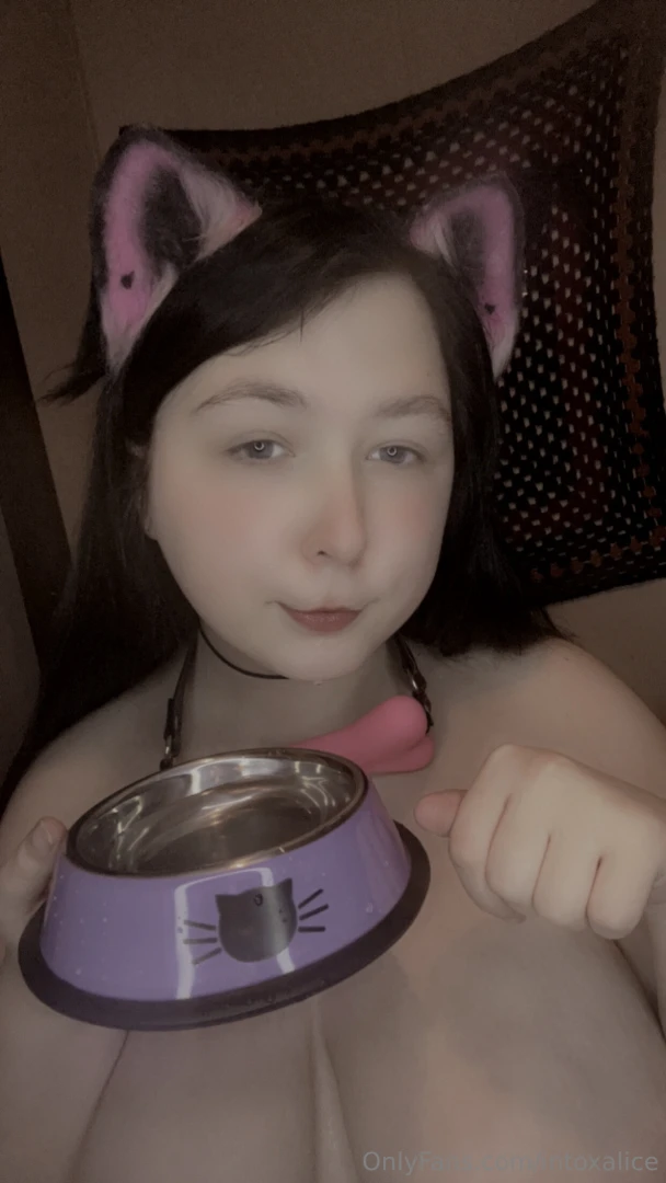 Big petplay bundle part 16 