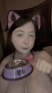 Big petplay bundle part 16