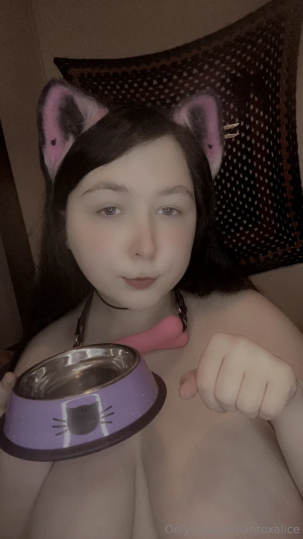 Big petplay bundle part 6 