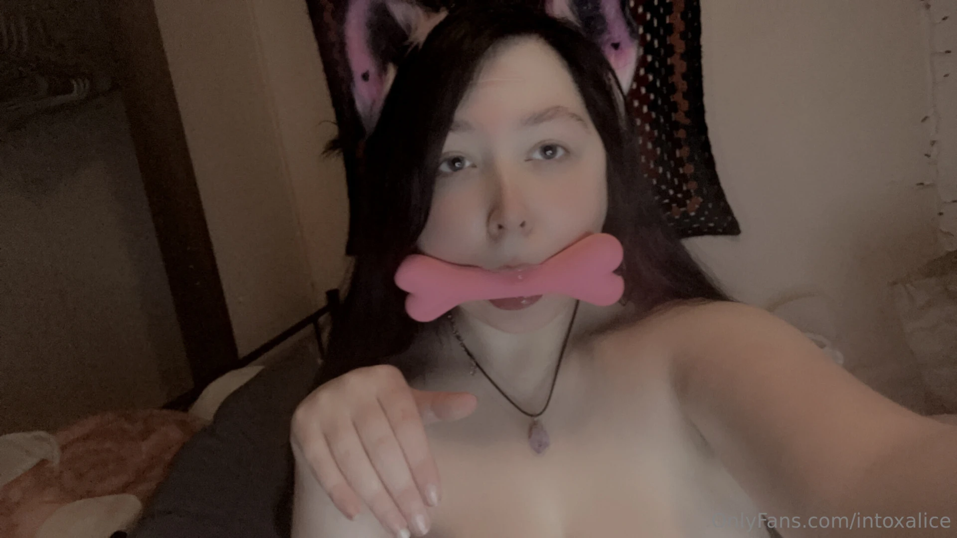 Big petplay bundle part 5 