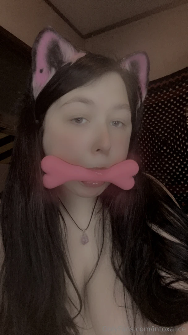 Big petplay bundle part 7 