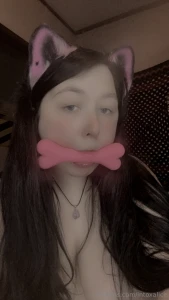 Big petplay bundle part 7