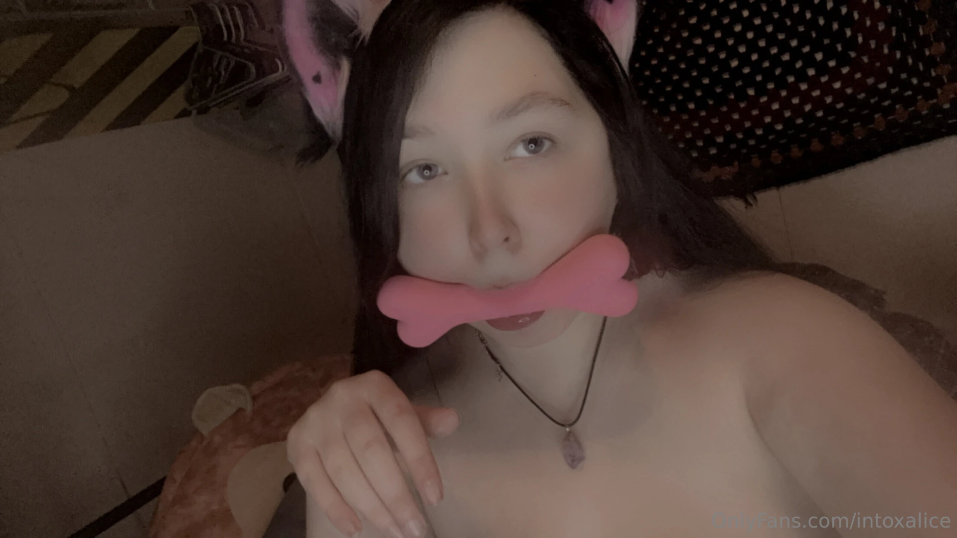 Big petplay bundle part 13 