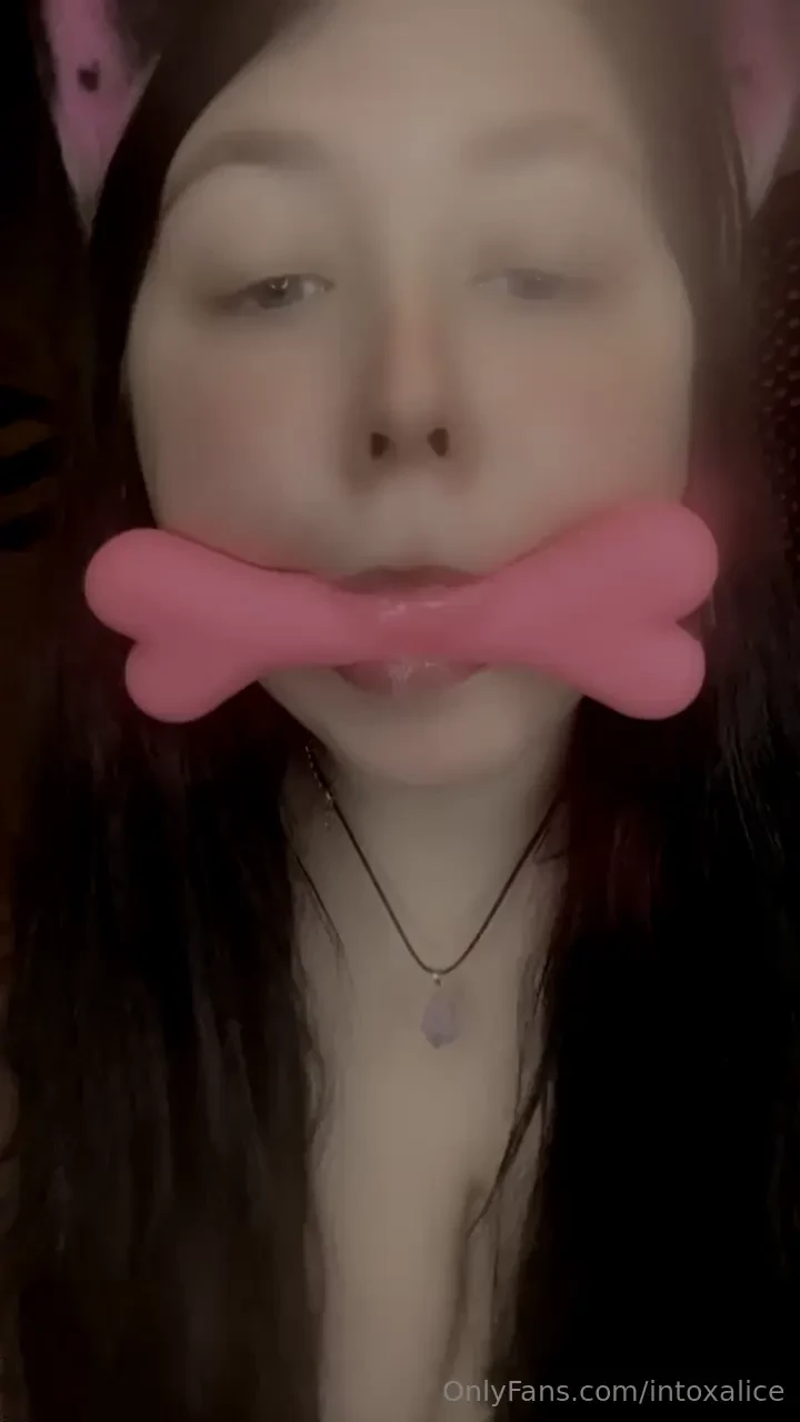 Big petplay bundle part 1 