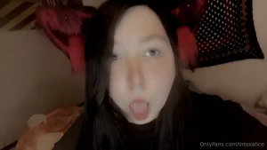 Big petplay bundle part 2