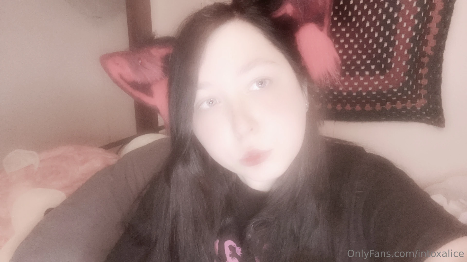 Big petplay bundle part 11 