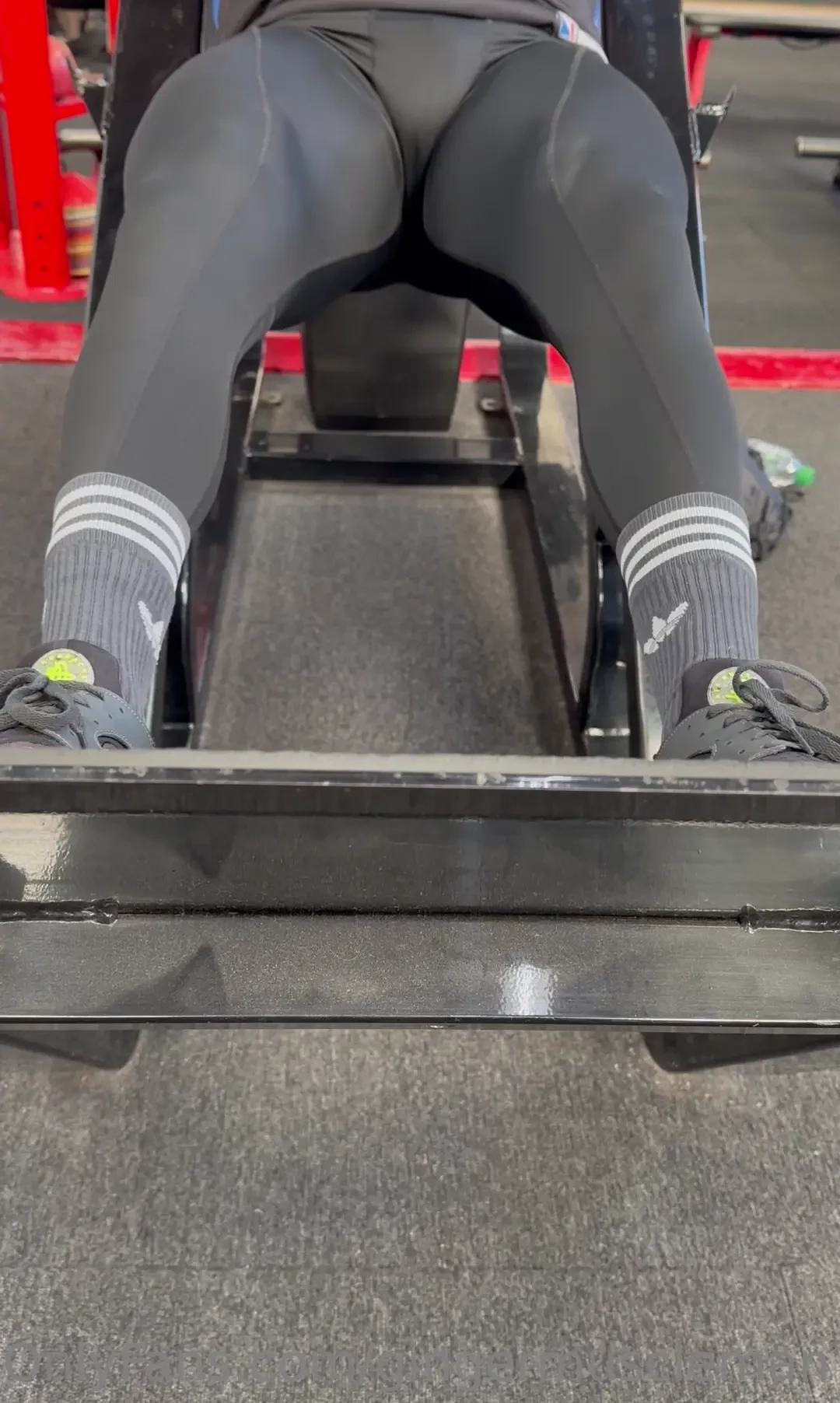 A couple of shots from todays hack squat 