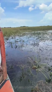 Vais-je croiser la route des alligators