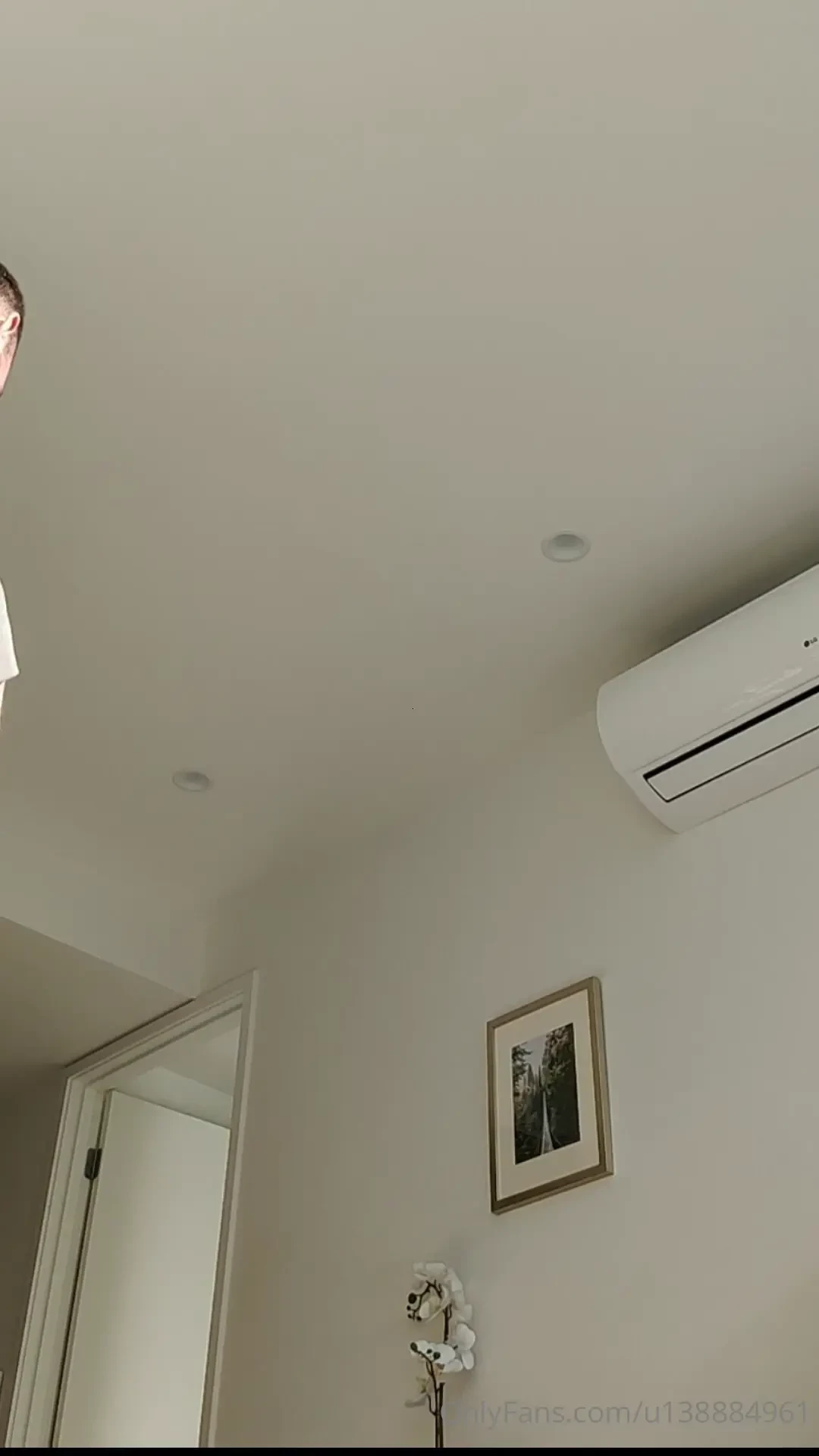 How do you look after dirty little pigs so they can concentrate better 