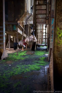 Flying lessons part 2