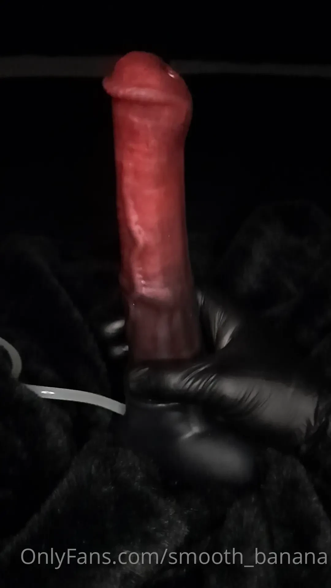 This is chance my absolute favorite toy for when i m in the mood to go 