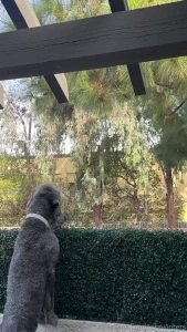Omg this wind