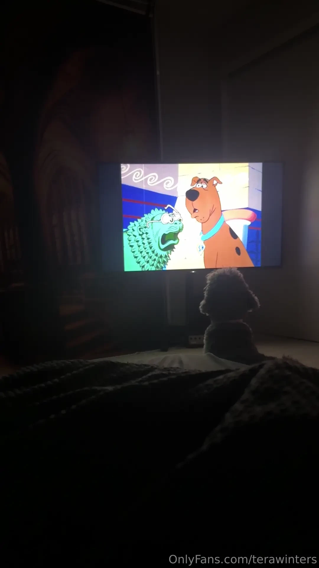 My son watches tv all the time seriously he watches entire tv episodes 