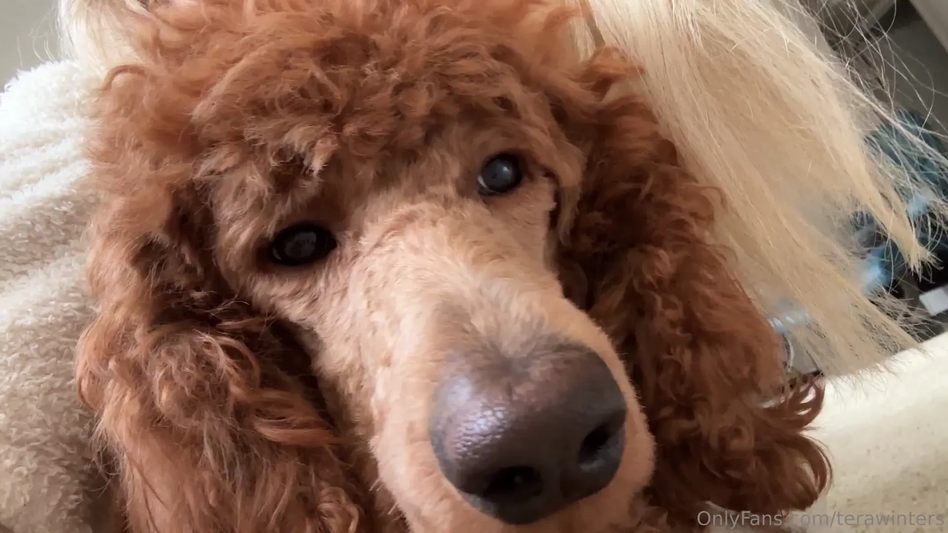 These faces are my world they make me want to be the best i can and do 