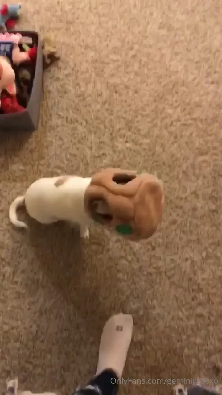 I just found this and had to share nacho got his head stuck inside his 