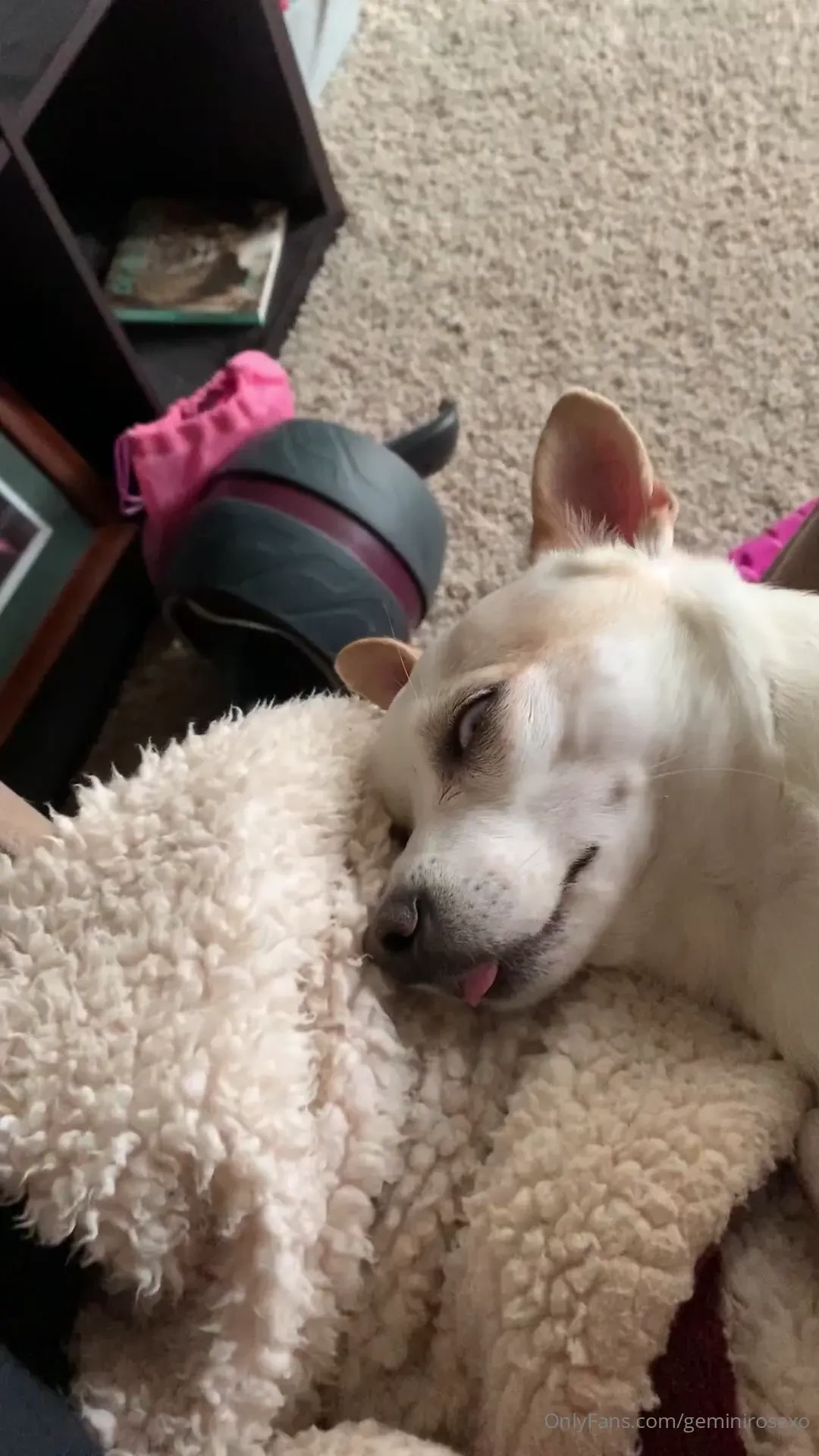 Dead asleep his eye looks creepy but he s so cuteeee i love this 