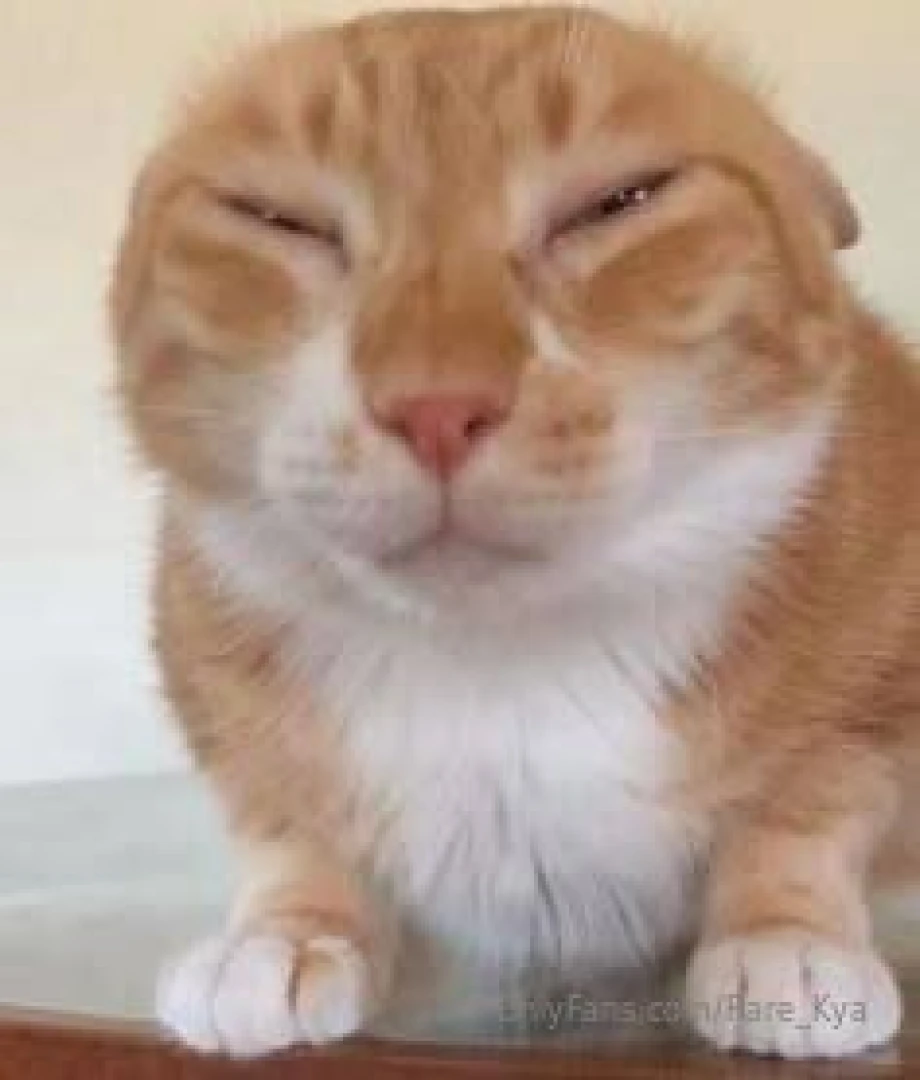 Hey guys yesterday i got robbed at gunpoint they took my phone my 