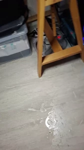 Je re-post cette petite vid o pour vous dire que non pas une mais bien
