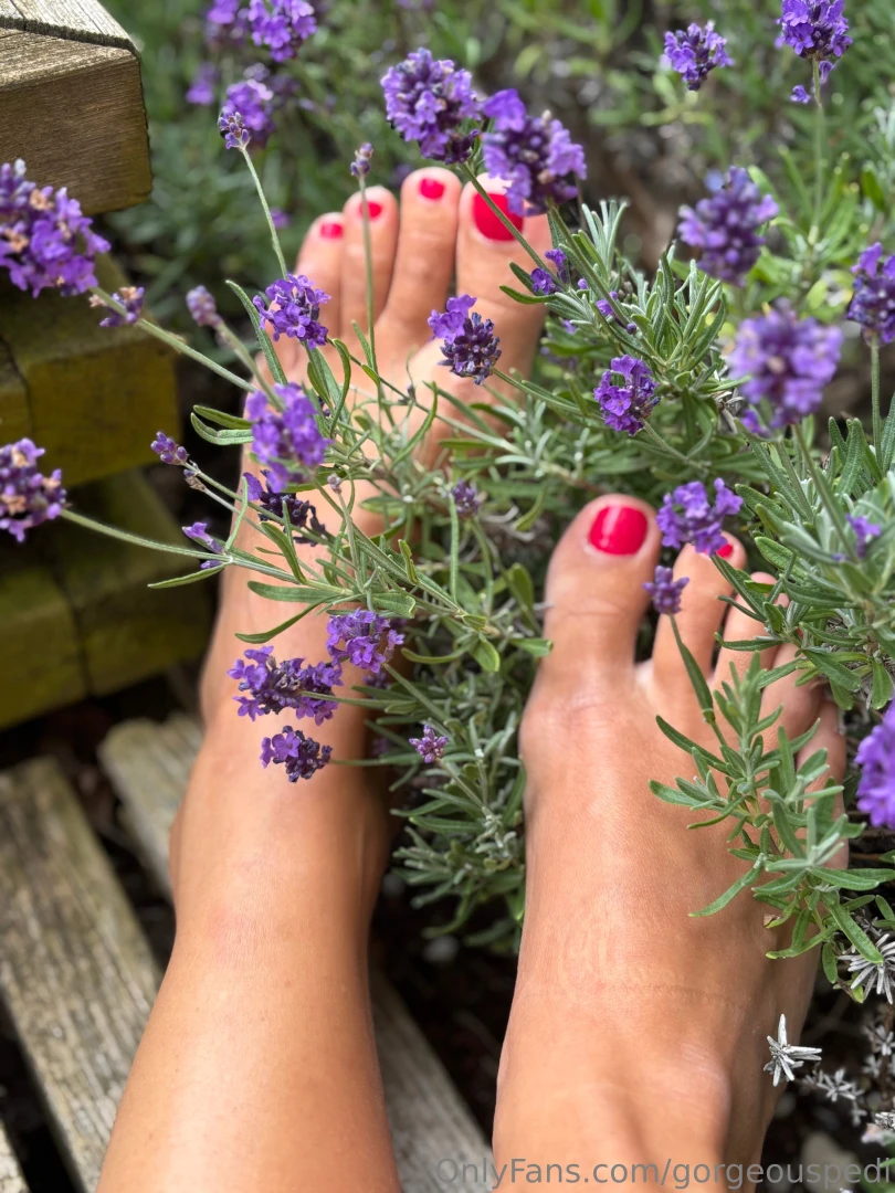 Oh how i love lavender how is your summer going so far are you part 1 