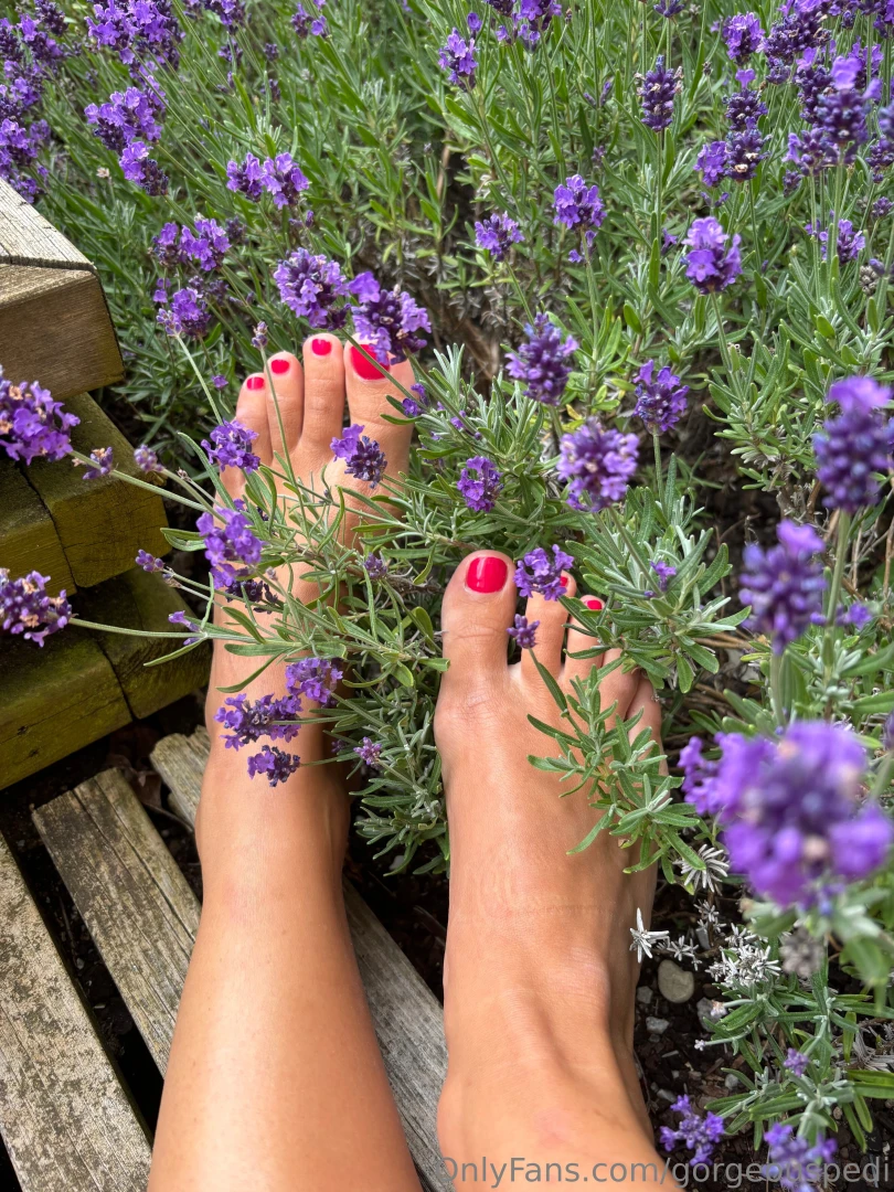 Oh how i love lavender how is your summer going so far are you part 2 