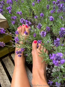 Oh how i love lavender how is your summer going so far are you part 2