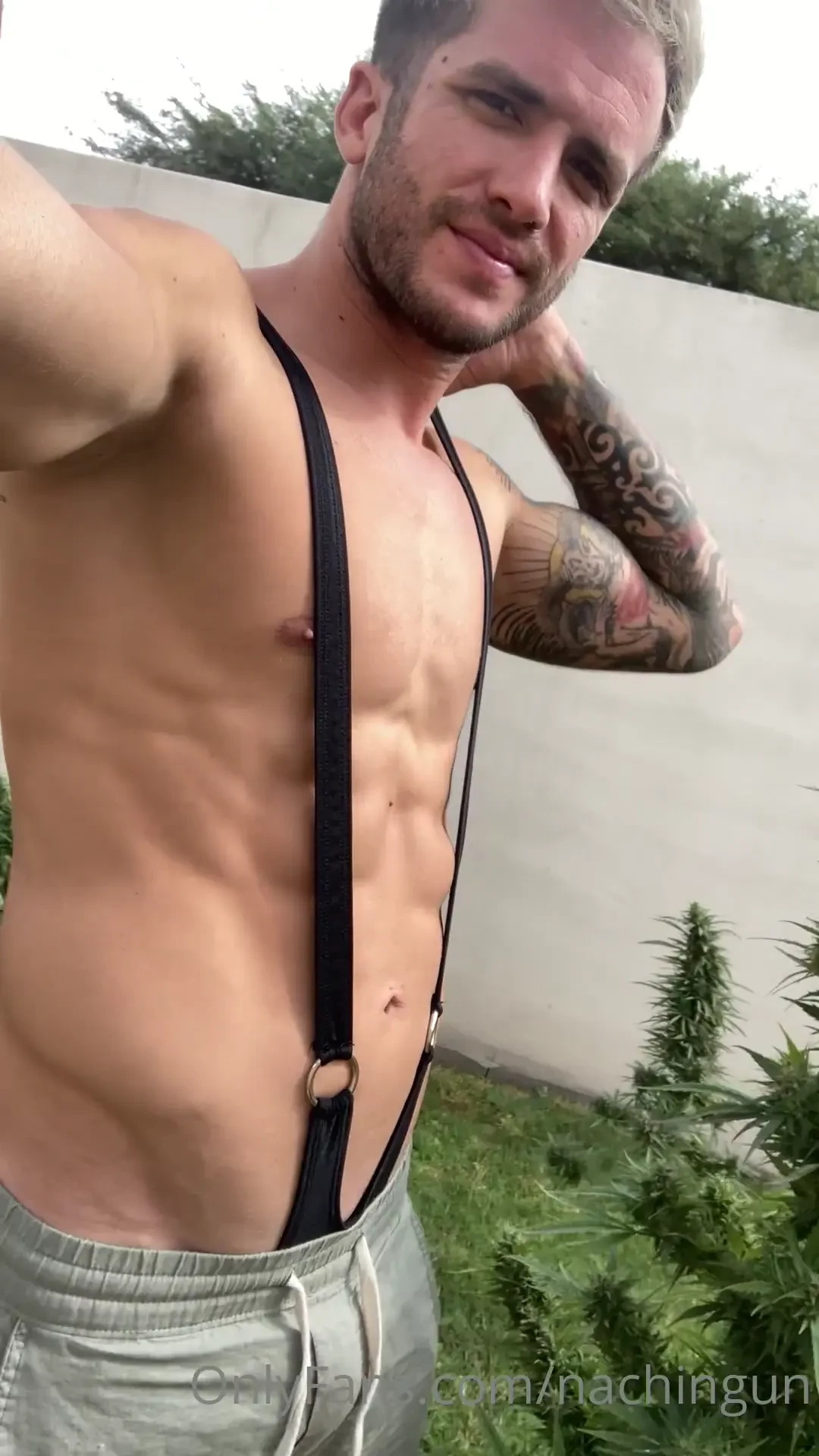 Happy 4 20 everyone it s time to harvest some 