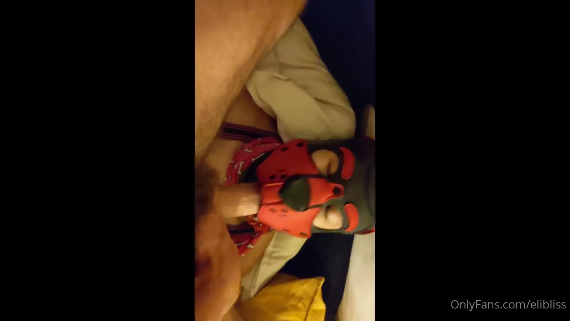 Cleaning up my drive i found this treasure this super hot pup and i 