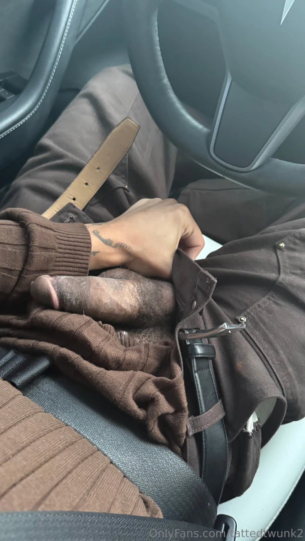 Lots of brown today would you suck me off while i was driving 