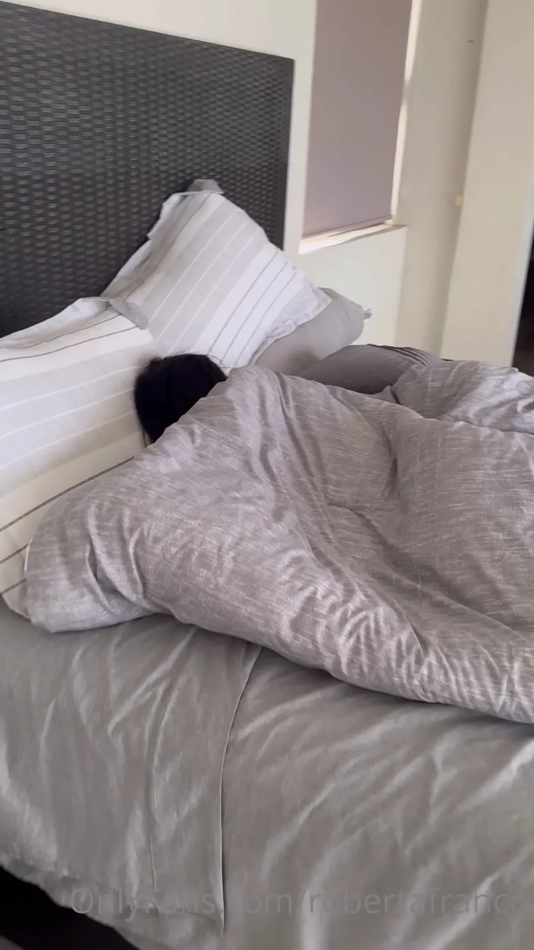 Buenos d as mis amores amaneciendo en el hermosisimo chiapas as pido 